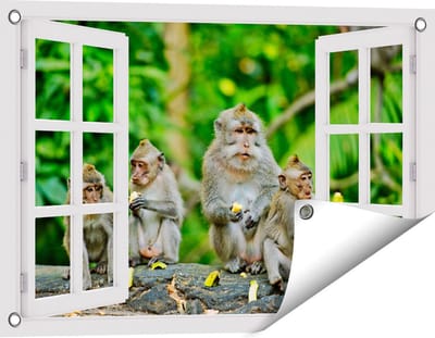 Gards Tuinposter Doorkijk Groep Apen Eten Bananen in het Bos - 60x40 cm - Tuindoek - Tuindecoratie - Wanddecoratie buiten - Tuinschilderij