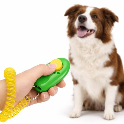 Clicker Hondentraining Met Elastische Polsband I Training Hond I Effectieve Huisdierentraining I Met Sleutelring I Groen