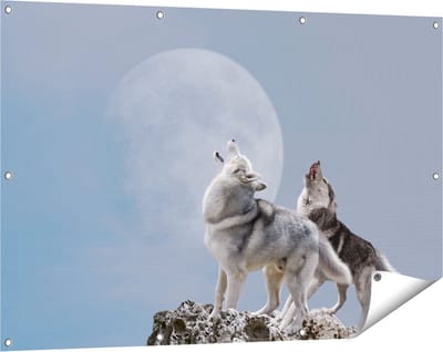 Gards Tuinposter Twee Wolven Die Huilen tijdens Volle Maan - 120x80 cm - Tuindoek - Tuindecoratie - Wanddecoratie buiten - Tuinschilderij