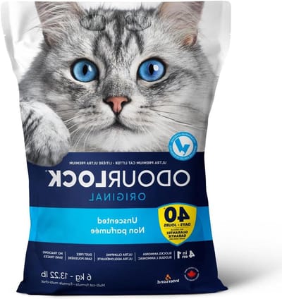 Kattenbakvulling Bentoniet - Kattenbak Korrels - Geur Neutraliseren - Stofvrij Klontvormend - 6 Kilogram - Natuurlijk