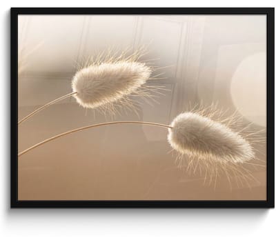 Poster in lijst - Fotolijst 80x60 cm - Posters - Hazestaartgras - Graanharen - Zonlicht - Posterlijst zwart - Decoratie - Wanddecoratie woonkamer - Muurdecoratie slaapkamer
