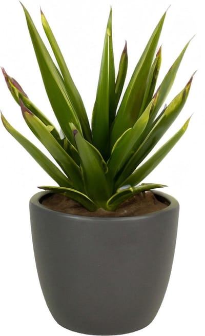 Bloempot mat antraciet - keramiek voor kamerplant - H17 x D19.5 cm - grijs - plantenpotten binnen
