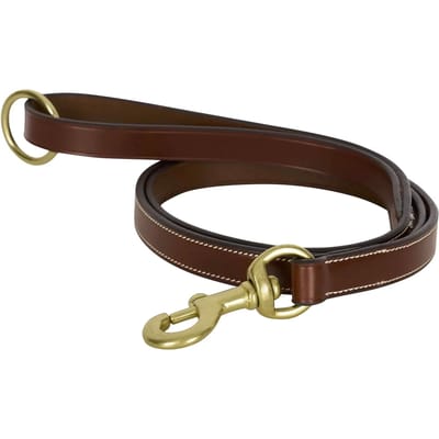 Hondenriem HV Polo Legacy