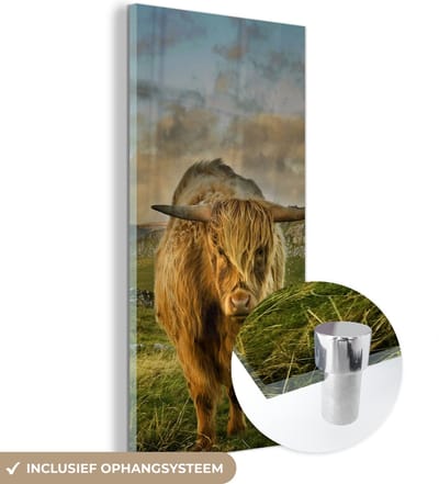 MuchoWow® Glasschilderij 20x40 cm - Schilderij acrylglas - Schotse Hooglander - Gras - Berg - Foto op glas - Schilderijen