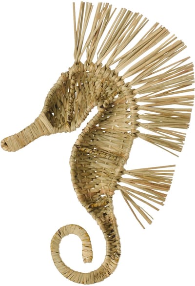 J-Line wanddecoratie Zeepaard - gras - naturel - small