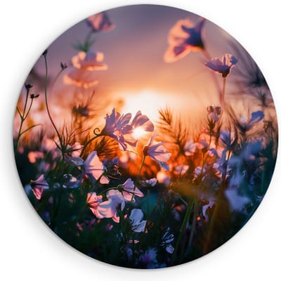 Saammp Muurcirkel Hout - Landschap - Bloemen met zonsondergang - Natuur - Ø 90 - Wandcirkel - Wanddecoratie Cirkel - Muurdecoratie Woonkamer - Slaapkamer decoratie - Rond Schilderij