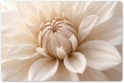 Placemats 45x30 cm - Placemat kunststof - 1 stuk - Bloem - Dahlia - Wit - Borden onderleggers - Decoratie voor op tafel - Keuken tafeldecoratie accessoires - Vinyl onderlegger - Tafelversiering