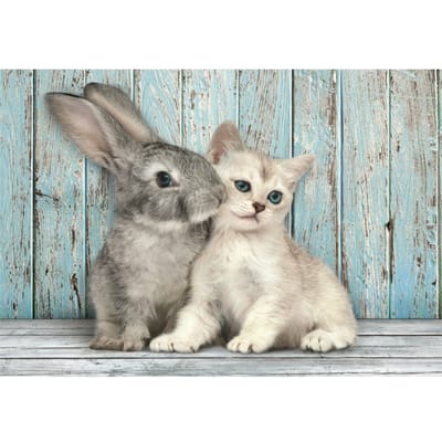 Clementoni - Puzzel - 500 Stukjes - Kat en Konijn - Puzzel Voor Kinderen en Volwassenen - High Quality Collection