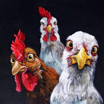 Puzzel 1000 stukjes - Legpuzzel volwassenen - Ontspanning thuis - Logisch denken stimuleren - 50x75cm
