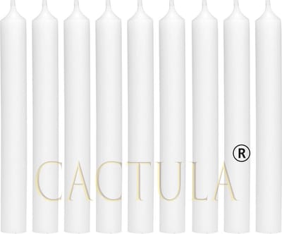 Cactula mooie dinerkaarsen 19.5 cm Wit 18 stuks | 6 branduren