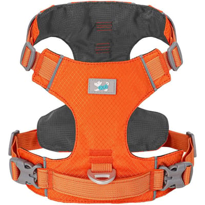Hondentuig zonder trekken Huisdier Reflecterende Nylon Tuigen Vest Waterdicht Verstelbaar Medium Groot Hondenvest Veiligheidslijn Wandelen Hardlopen XS orange