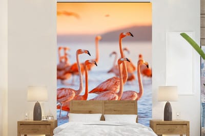 Behang - Fotobehang Flamingo - Dieren - Water - Roze - Breedte 200 cm x hoogte 300 cm
