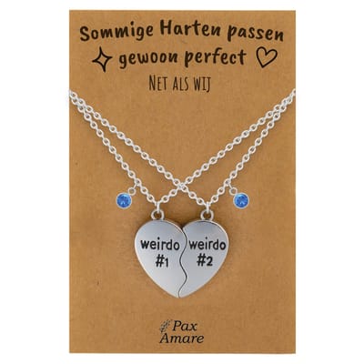 BFF Ketting voor 2 'Sommige harten passen perfect' - Weirdo's Hartje - Vriendschapsketting op Cadeau Kaartje - 45cm + 5cm verstelbaar - Zilverkleurig - Best Friends Hanger - Pax Amare