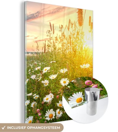 MuchoWow® Glasschilderij 30x40 cm - Schilderij acrylglas - Bloemen - Madelief - Natuur - Zon - Horizon - Foto op glas - Schilderijen