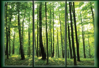 Fotobehang Forest Trees GreenNature | XL - 208cm x 146cm | 130g/m2 Vlies