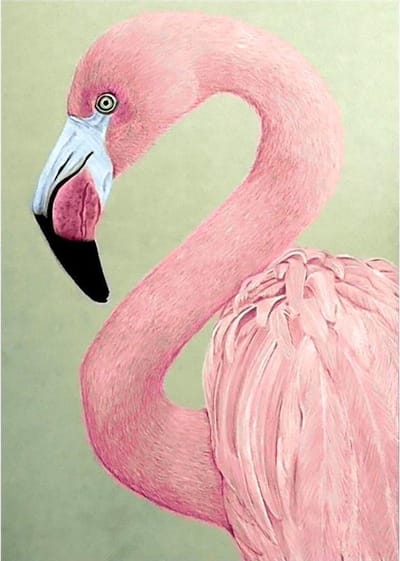 Wizardi Diamond Painting Pink Flamingo - WD232