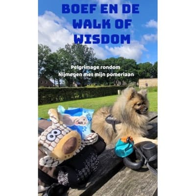 Boef En De Walk Of Wisdom - Anna-Maria Carbonaro