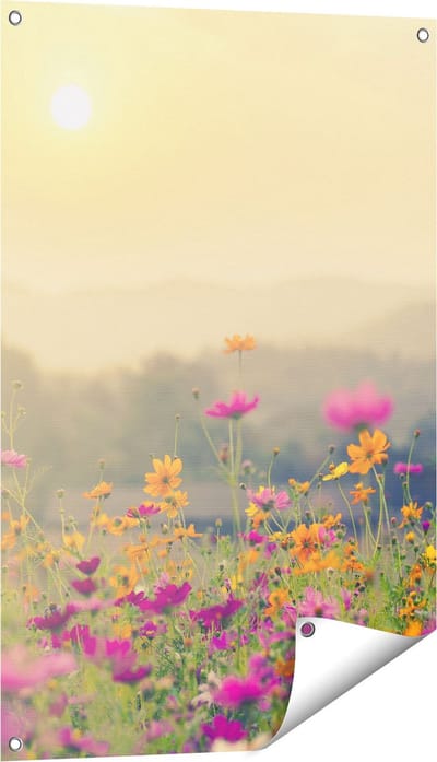 Gards Tuinposter Bloemenveld met Kosmos - Zonsondergang - 60x90 cm - Tuindoek - Tuindecoratie - Wanddecoratie buiten - Tuinschilderij
