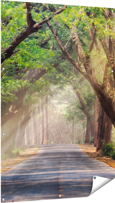 Gards Tuinposter Weg Omringd met Bomen - 100x150 cm - Tuindoek - Tuindecoratie - Wanddecoratie buiten - Tuinschilderij
