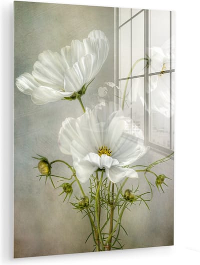 MuchoWow® Glasschilderij 120x160 cm - Schilderij acrylglas - Bloemen - Stilleven - Klaproos - Wit - Botanisch - Foto op glas - Muurdecoratie woonkamer - Wanddecoratie slaapkamer - Schilderijen