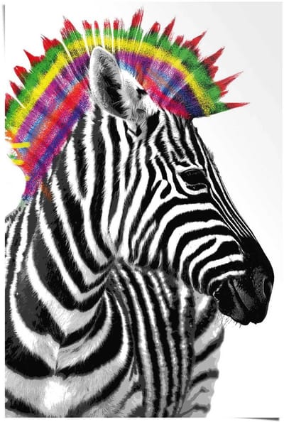 Poster Zebra punker - 91,5 x 61 - Papier - REINDERS
