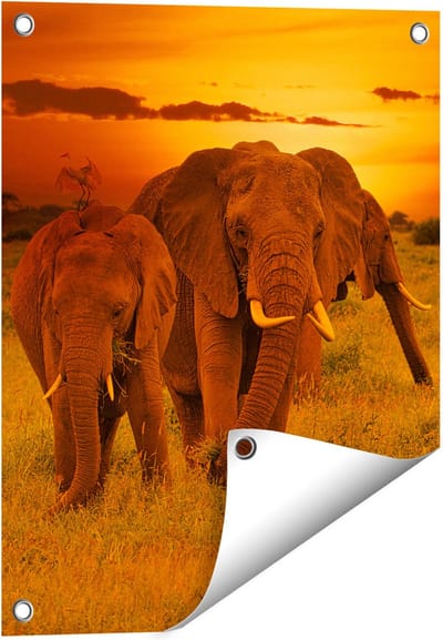 Gards Tuinposter Olifanten in het Wild - Zonsondergang - 40x50 cm - Tuindoek - Tuindecoratie - Wanddecoratie buiten - Tuinschilderij