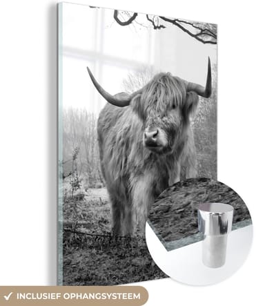MuchoWow® Glasschilderij 120x160 cm - Schilderij acrylglas - Schotse Hooglander - Bos - Mist - Koe - Dieren - Natuur - Foto op glas - Schilderijen