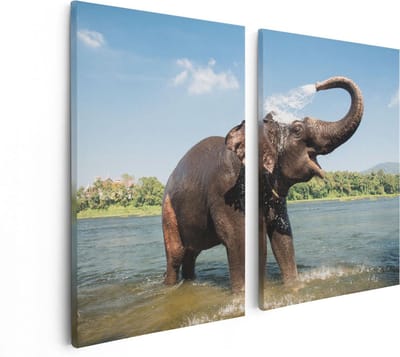 Artaza Canvas Schilderij Tweeluik Vrolijke Olifant In Het Water  - 80x60 - Foto Op Canvas - Canvas Print