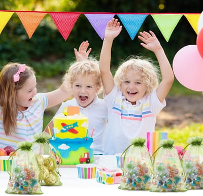 Fruithoes - 100 stuks - Fruitbeschermingszakken - Organza Zakjes - Fruithoes met trekkoord - Oogstbescherming - Fruithoezen - Druivenbeschermzakken - Voor planten, fruitbloemen, groenten, Snoep, Sieraden en Gift - 15 x 20 cm - Groente