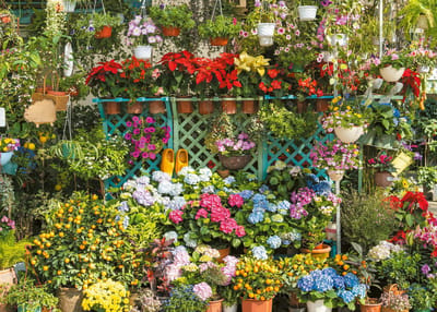 Zomertuin vol Kleuren - Legpuzzel (1000 stukjes) - Tucker's Fun Factory