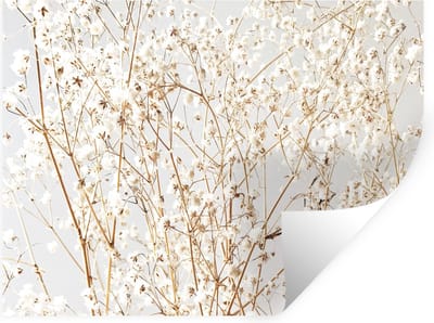 Muurstickers - Sticker Folie - Natuur - Takken - Bloemen - 40x30 cm - Plakfolie - Muurstickers Kinderkamer - Zelfklevend Behang - Zelfklevend behangpapier - Stickerfolie