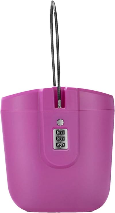 Draagbare Kluis - Veiligheidsbox - Waardevolle Spullen - 3-Cijferig Slot - 2 Liter - Roze