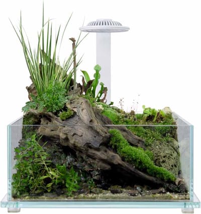 Wabi Kusa Bio Tank Black 32x20x14 cm met LED voor miniatuurtuintjes