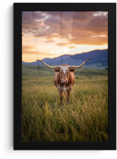 Poster in lijst - Fotolijst 20x30 cm - Posters - Longhorn - Landschap - Zonsondergang - Posterlijst zwart - Decoratie - Wanddecoratie woonkamer - Muurdecoratie slaapkamer