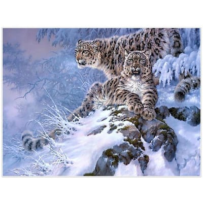 Diamant borduurwerk luipaard patroon kruissteek diamant schilderij dier sneeuw diamant mozaïek wanddecoratie 20X30CM gray