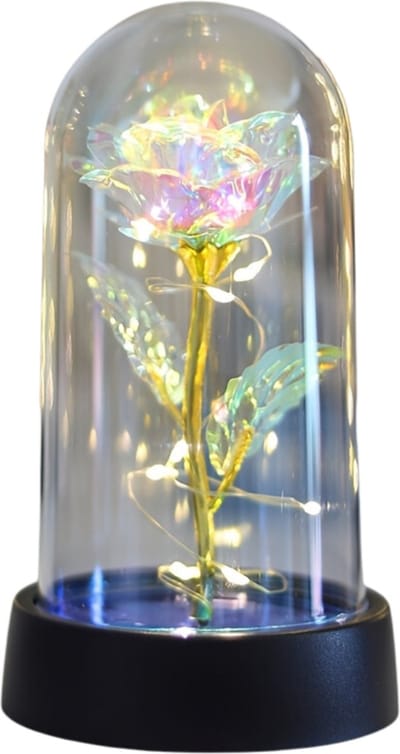 Bovista Roos In Glas - In Stolp - Galaxy - Roos In Glazen Stolp - Roos In Doos - Onsterfelijke Roos In Glas - Valentijn Cadeautje Voor Haar - Valentijn Cadeautje Voor Hem - Wit