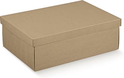 Geschenkdoos met deksel karton BRUIN, 24x13x4,5cm (10 stuks)