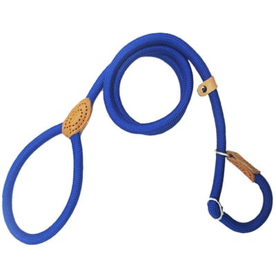 Hondenriem Nylon huisdierriem Verstelbare hondenharnas Duurzame touwriem Lichtgewicht hondenbenodigdheden Wandeltraining Huisdierproducten 140cmx0.7cm blauw