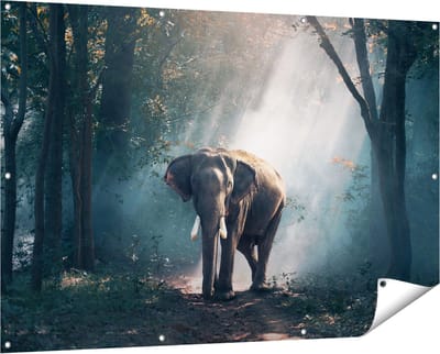 Gards Tuinposter Olifant in het Bos met Zonneschijn - 150x100 cm - Tuindoek - Tuindecoratie - Wanddecoratie buiten - Tuinschilderij