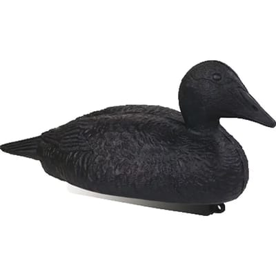 Eiderankers Stepland (x12)