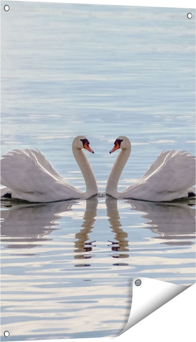 Gards Tuinposter Zwanen Koppel op het Water - 60x90 cm - Tuindoek - Tuindecoratie - Wanddecoratie buiten - Tuinschilderij