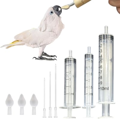 Dailygoods- Vogelvoerset Hoogwaardig Kunststof - Voederbakken 3/5/10 ml - Katheter 8/12/15 cm - Lepels - Geschikt voor Vogels/Papegaaien - Veilig en Duurzaam - Voederbak