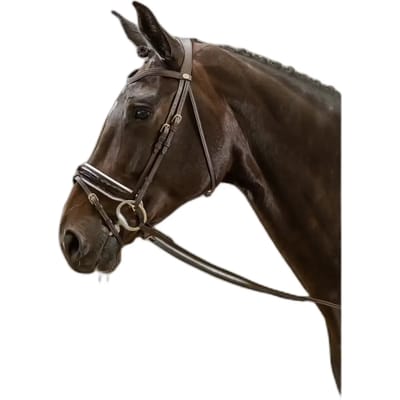 Breedte gecombineerde muserolle met glanzende afwerking en witte voering Dy'on