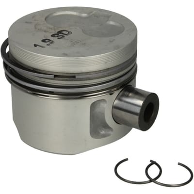 Zuiger MAHLE 029 82 00