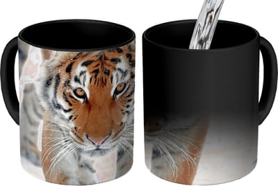Magische Mok - Foto op Warmte Mokken - Koffiemok - Tijger - Sneeuw - Dieren - Magic Mok - Beker - 350 ML - Theemok