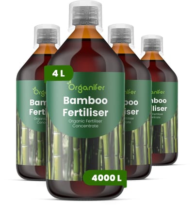Vloeibare Meststof Voor Bamboe 4X1 L Voor 4000 L - Npk 3-4-3 - Bamboescheuten - Rechtopgaande Groei - Halmdikte - Stevige Halme - Wortel - En Rizoomactiviteit - Polvorming - Weelderig Blad - Windbestendig - Levendige Bladkleur - Organifer