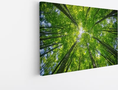 Saammp Canvas Schilderij - Natuur - hert in zonneschijn - landschappen - 45x30 - Foto op canvas - Wanddecoratie - Muurdecoratie Woonkamer - Slaapkamer decoratie - Canvas Print