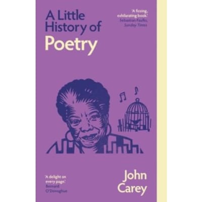A Little History Of Poetry - Little Histories - John Carey