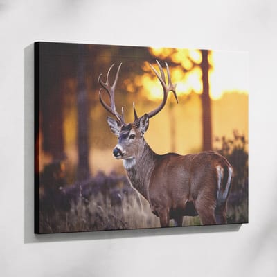 Saammp Muurcirkel Hout - Gekleurde Tulpen - Bloemen - Abstract - Ø 90 - Wandcirkel - Wanddecoratie Cirkel - Muurdecoratie Woonkamer - Kantoor Decoratie
