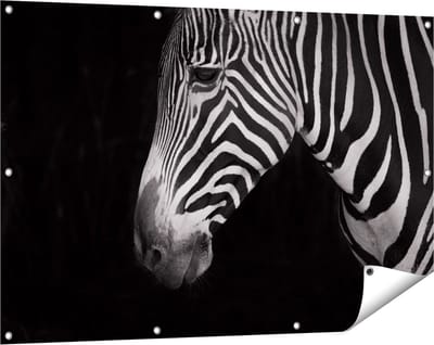 Gards Tuinposter Zebra Kop vanaf de Zijkant - Zwart Wit - 120x80 cm - Tuindoek - Tuindecoratie - Wanddecoratie buiten - Tuinschilderij
